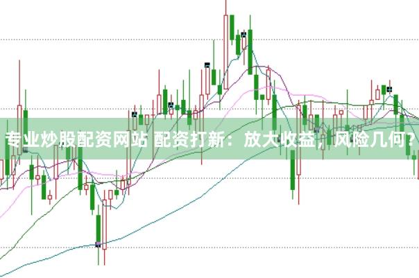 专业炒股配资网站 配资打新：放大收益，风险几何？
