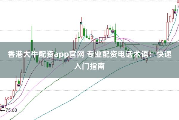 香港大牛配资app官网 专业配资电话术语:快速入门指南