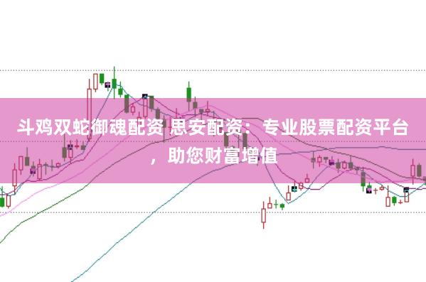 斗鸡双蛇御魂配资 思安配资：专业股票配资平台，助您财富增值