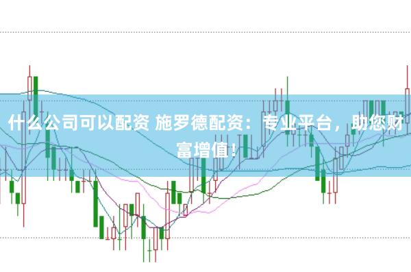 什么公司可以配资 施罗德配资：专业平台，助您财富增值！