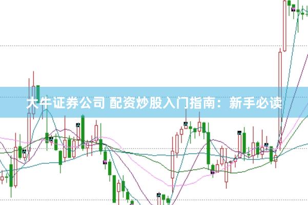 大牛证券公司 配资炒股入门指南：新手必读