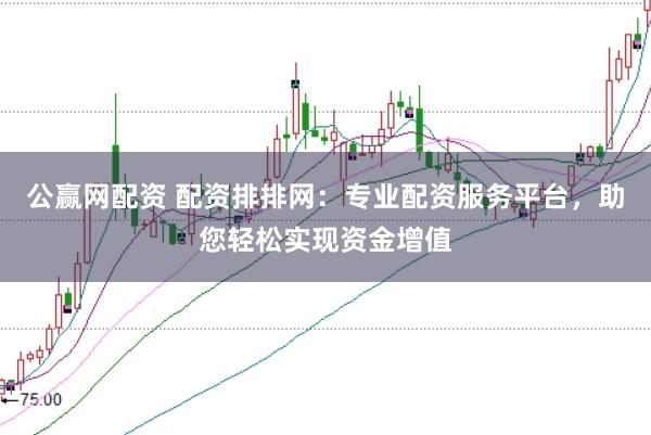 公赢网配资 配资排排网：专业配资服务平台，助您轻松实现资金增值