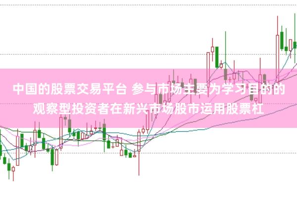 中国的股票交易平台 参与市场主要为学习目的的观察型投资者在新兴市场股市运用股票杠
