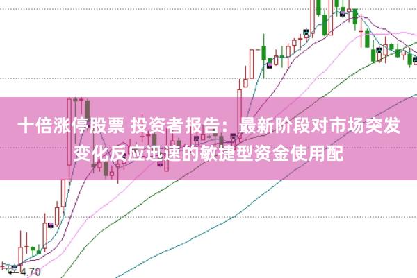 十倍涨停股票 投资者报告：最新阶段对市场突发变化反应迅速的敏捷型资金使用配