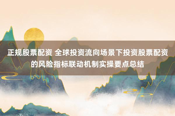 正规股票配资 全球投资流向场景下投资股票配资的风险指标联动机制实操要点总结