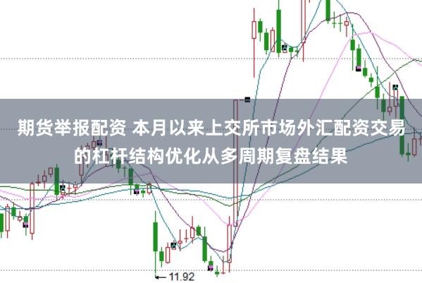 期货举报配资 本月以来上交所市场外汇配资交易的杠杆结构优化从多周期复盘结果