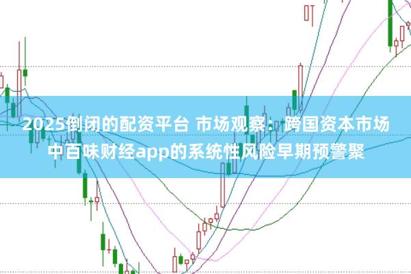 2025倒闭的配资平台 市场观察：跨国资本市场中百味财经app的系统性风险早期预警聚