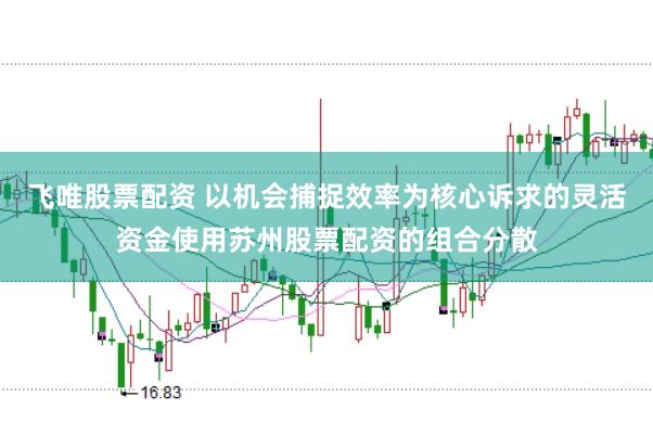 飞唯股票配资 以机会捕捉效率为核心诉求的灵活资金使用苏州股票配资的组合分散