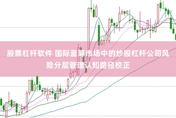 股票杠杆软件 国际蓝筹市场中的炒股杠杆公司风险分层管理认知路径校正