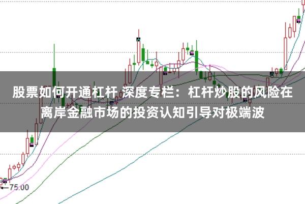 股票如何开通杠杆 深度专栏:杠杆炒股的风险在离岸金融市场的投资认知引导对极端波