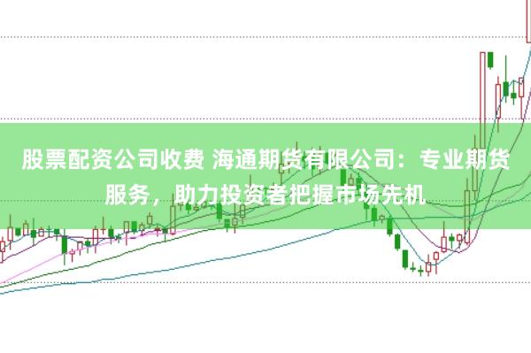 股票配资公司收费 海通期货有限公司：专业期货服务，助力投资者把握市场先机