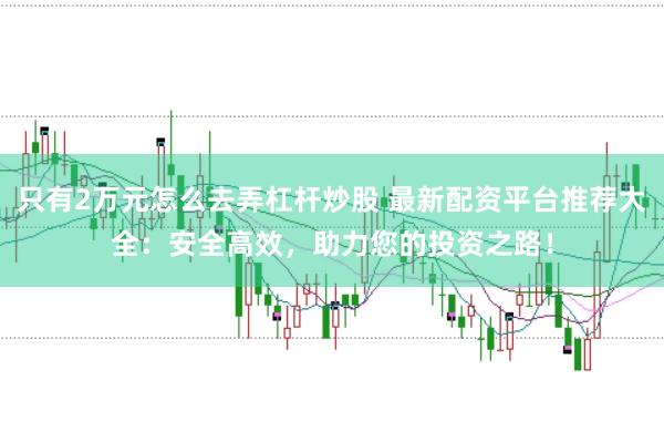 只有2万元怎么去弄杠杆炒股 最新配资平台推荐大全：安全高效，助力您的投资之路！