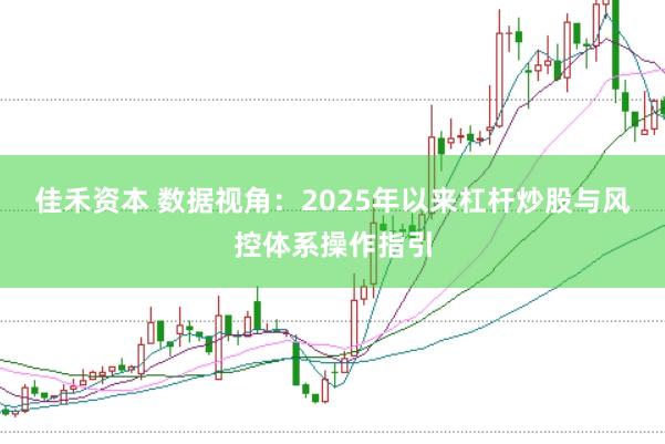 佳禾资本 数据视角：2025年以来杠杆炒股与风控体系操作指引